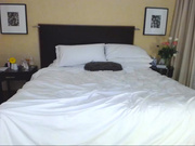 MissMolly w/ NikkiEliot