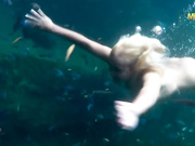 Jenny Scordamaglia 12