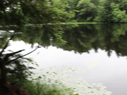 Lexi_luv sucks and fucks in public!