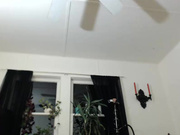 Audrey_ webcam show 2014 November 20_12-50-01