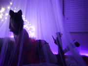 Emily Grey - Neon Neko