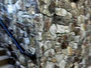 Ginger Banks - Public Fun