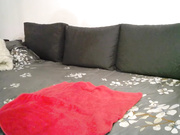 horny2lovers 31-10-2019 Part 3