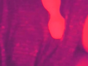 professor_gaia suck and fuck with cumshot