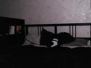 Migurtt Show On 2020-03-21