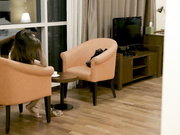 Art of Seduction Simran k