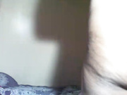 tweetypie 21 -2 too hot to handle