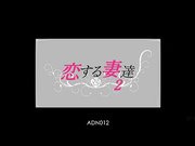 Dearly Loving Wives 2 – Reiko Sawamura Kaori~モザイク破壊