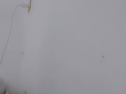 Efitopia  webcam show 2020-04-04 15-20-58 610