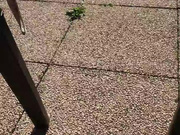 intrigante66 webcam show 2020-04-07 16-26-22 951