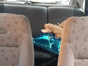 hotolgaxxx webcam show 2020-04-09 16-37-21 812