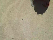 Intrigante66 webcam show 2020-07-13 12-19-23 054