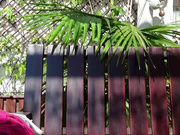 lauriehot webcam show 2020-07-02 16-12-10 875