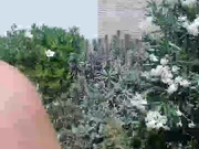 Lauriehot webcam show 2020-07-10 13-19-21 737