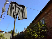 orange girl1 webcam show 2020-07-02 15-18-38 417