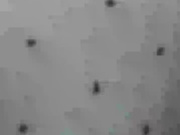 Tefaluu  webcam show 2020-07-05 23-19-22 520