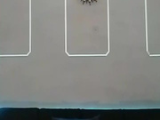 True vega webcam show 2020-07-13 19-32-40 626