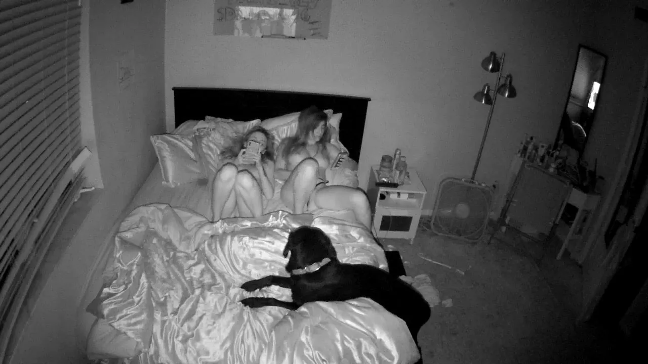 The Horny Hostel pic