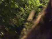 So cutes webcam show 2020-07-24 20-02-19 480