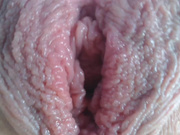 AirKira webcam show 2020-08-14 12-07-02 045