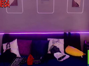 true vega webcam show 2020-08-17 16-31-12 763