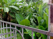 HellaHardcore webcam show 2020-09-01 16-15-43 602