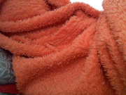 larara webcam show 2020-09-01 05-30-35 651