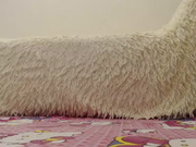 MsLily webcam show 2020-09-01 10-40-05 699 2