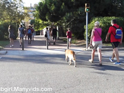 Littlesubgirl-Hot Squirting Asian at Crowded Beach