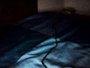 cattleyaxyxy 2552018