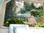 Ava Addams    Darcie Dolce