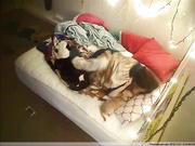 masturbating lesbian  real life 2