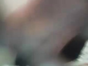 cute cam girl pees and plays with ass in low res