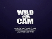 Lidya black wild on cam