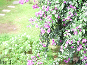 JasmineJ9966 - Can't Take My Eyes Off You - MV Ver HD