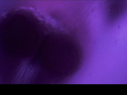 lunaokko of bg hotel sex doggy cumshot