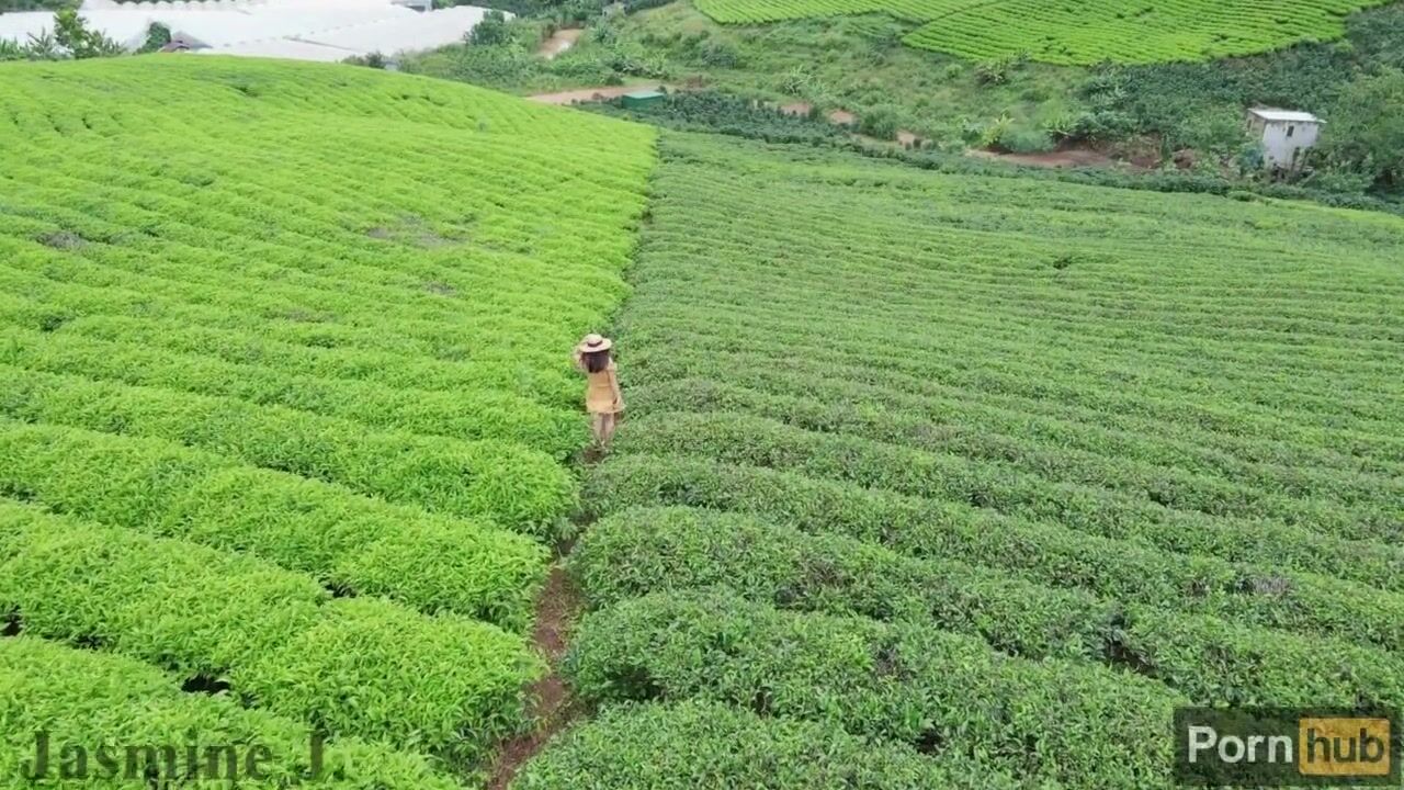 1.Jasmine J - Windy Hill