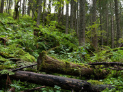 BOOBSPLAY Milk Zarra part.11