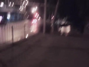 Japanese Trap in public bathroom