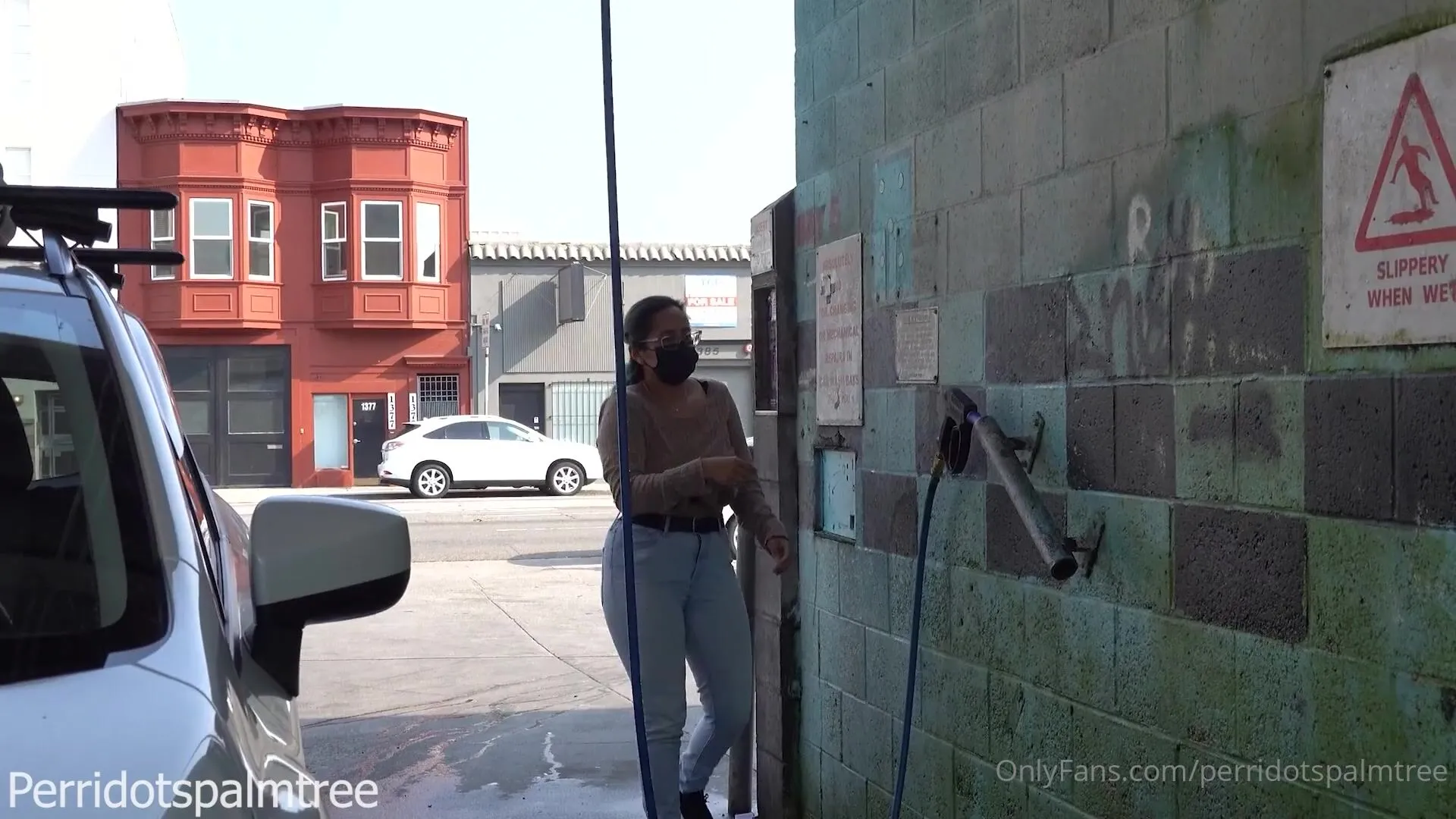 Perridotspalmtree uber