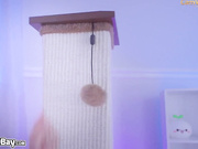 mycherrycrush kitty anal slave 2