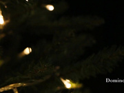 Tempting_Tigress - Christmas Blowjob + Facial