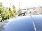 Onlyfans blonde bj+fuck (2)