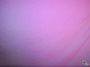 LittleCloverWhispers nurse reup