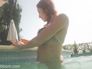 Red Fox - Inspiration