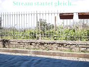 Liliangrimm (05_12_2022