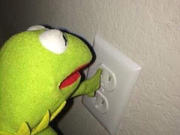 Strella Kat Backshots