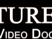 Brazilian Nudist Festival