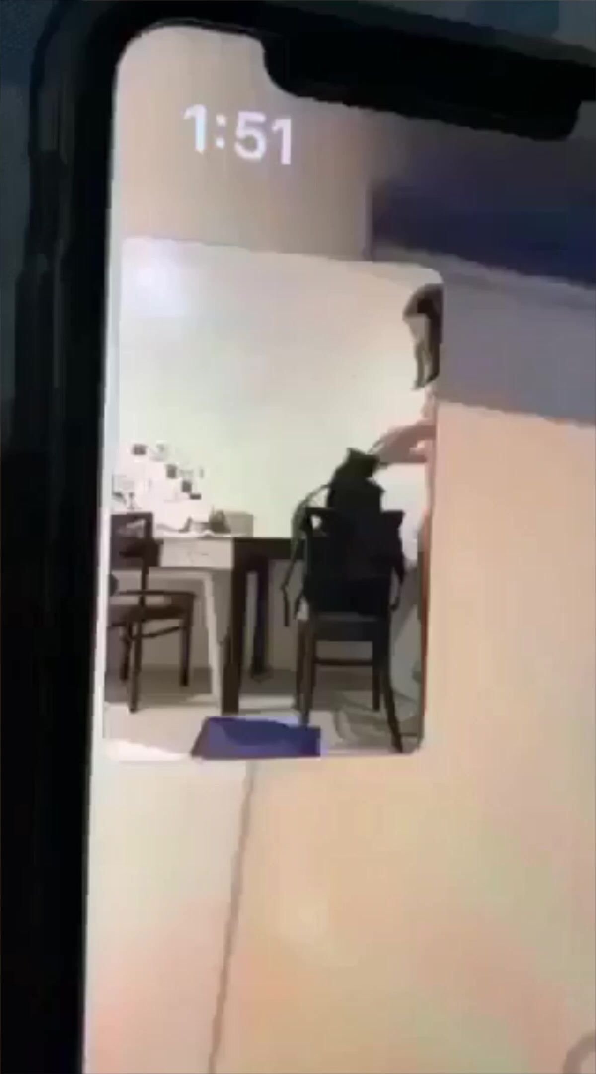 Pia ildefonso leaked