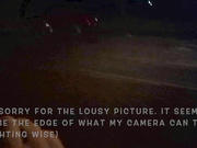 NaughtyGardenGirl - Naked in Town NO chance to Cover +C